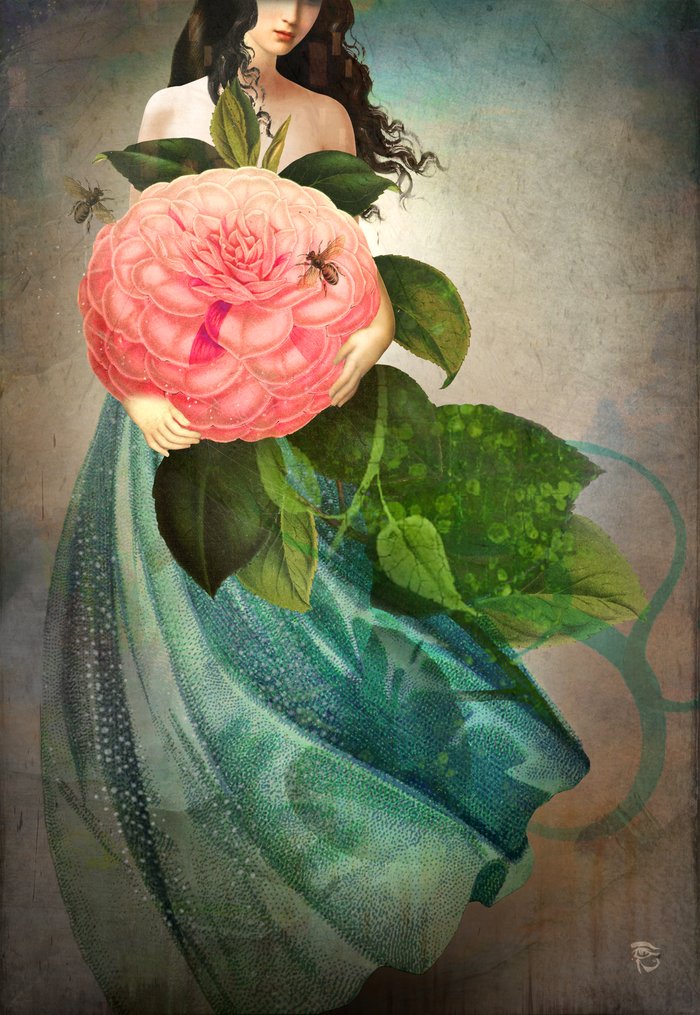 The Favorite Flower Art Print by Christian Schloe | Society6