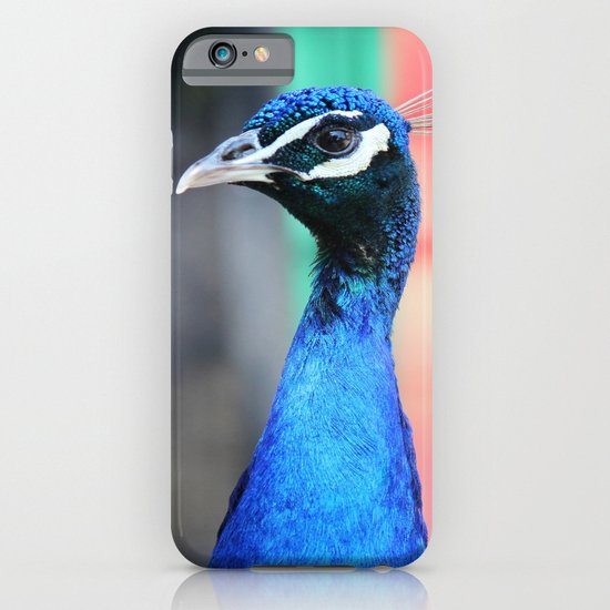 Peacock 1 iPhone & iPod Case by Tara Wuennenberg | Society6