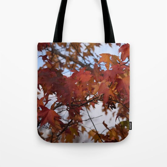 Fall Leaves Tote Bag by Sarah Shanely Photography | Society6
