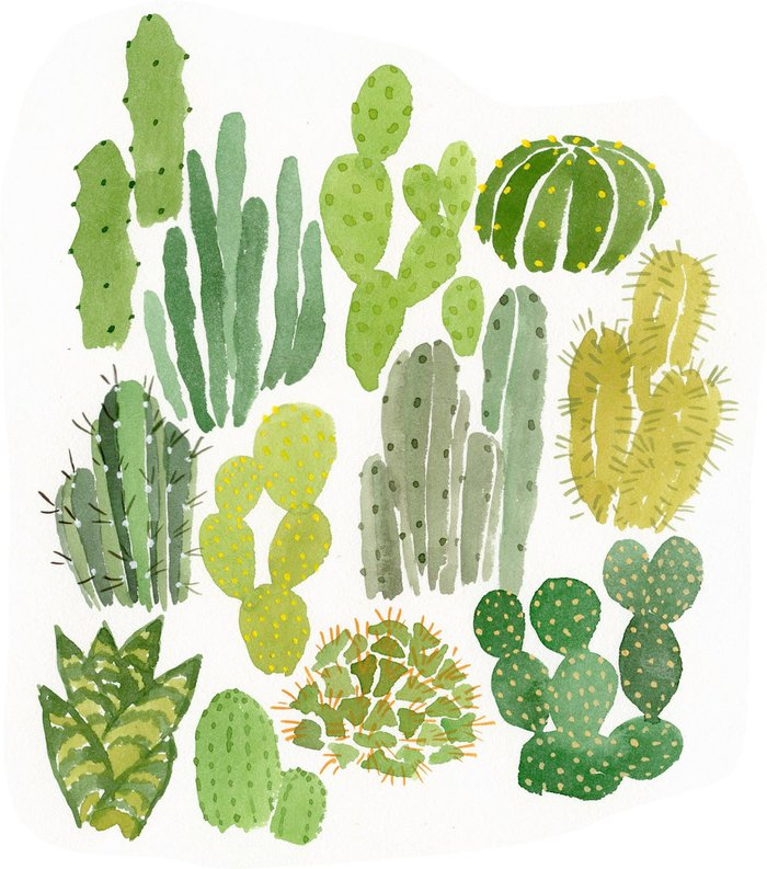 Cactus Art Print by Leah Reena Goren | Society6