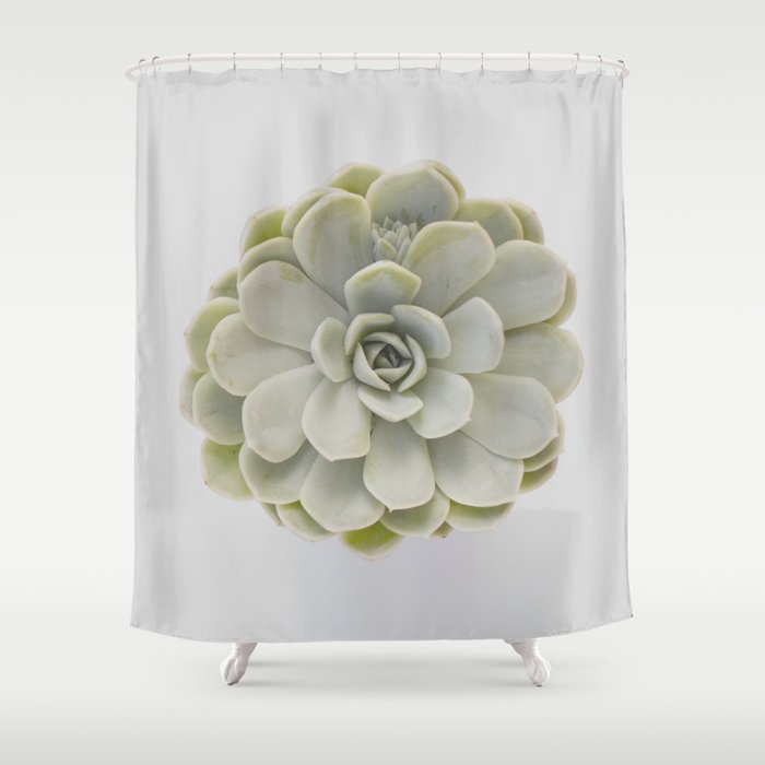 Succulent 01 Shower Curtain By Life Through The Lens