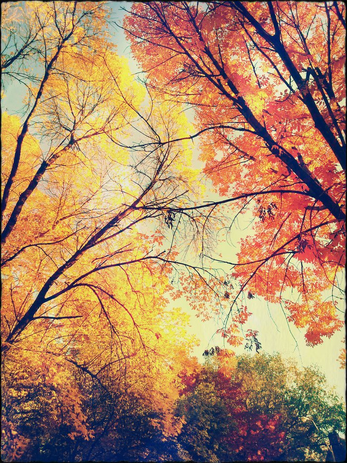 Autumn Embrace Canvas Print by The Dreamery | Society6