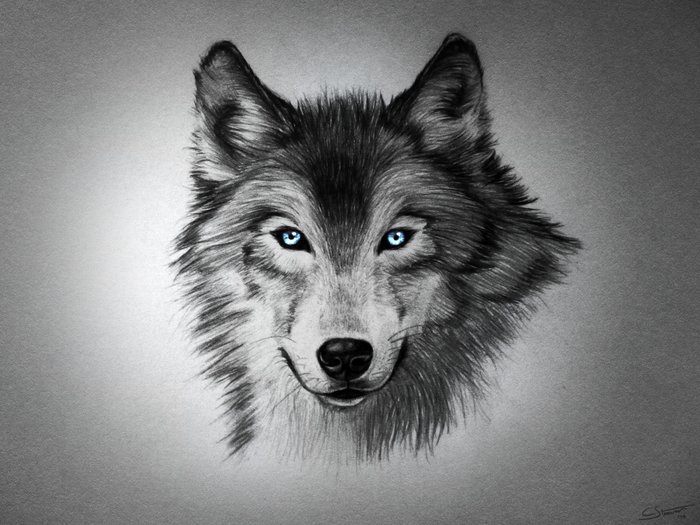 Blue-Eyed Wolf Art Print by LethalChris | Society6
