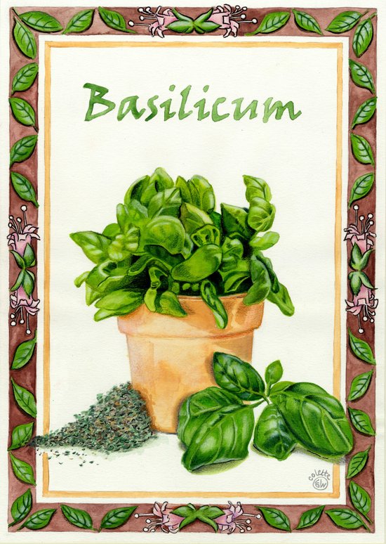 BASILICUM Art Print