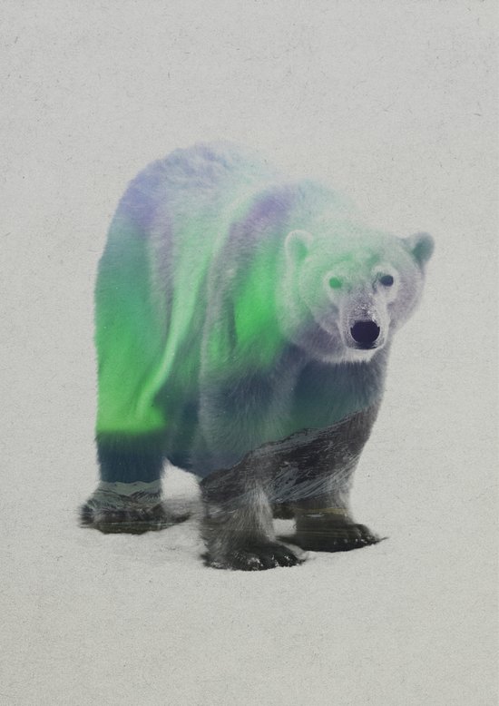 society6 frame sizes Polar by Art In Aurora The Lie Bear Borealis Print Andreas society6 frame sizes Polar by Art In Aurora The Lie Bear Borealis Print Andreas
