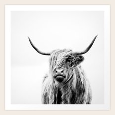portrait of a highland cow Art Print