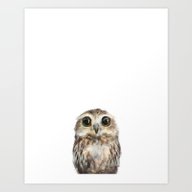 Little Owl Art Print