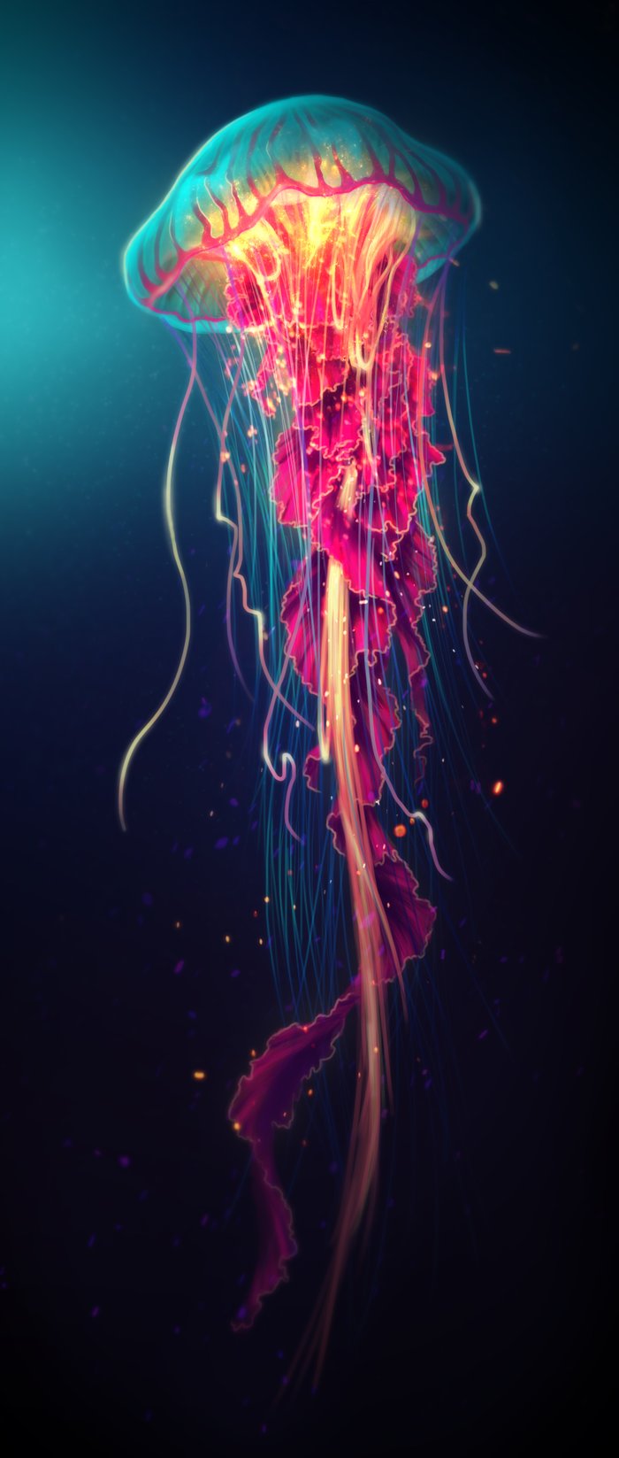 Jellyfish Art Print by Nikittysan  Society6