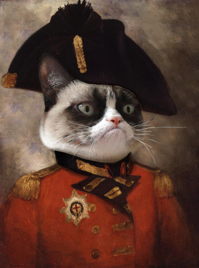 angry-cat-general-prints.jpg