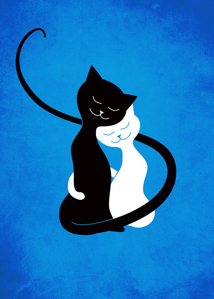 Black and white cats hugging each other with their tails over textured blue background