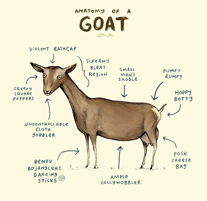Anatomy Of A Goat Art Print By Sophie Corrigan Society6
