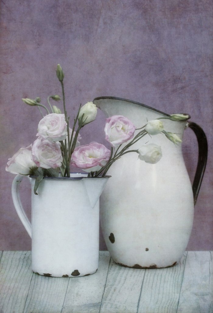shabby french chic vintage metal jugs with flowers canvas print by guna andersone mario raats shabby french chic vintage metal jugs with flowers canvas print by guna andersone mario raats