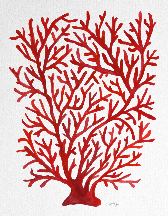 Red Coral Art Print by Cat Coquillette | Society6