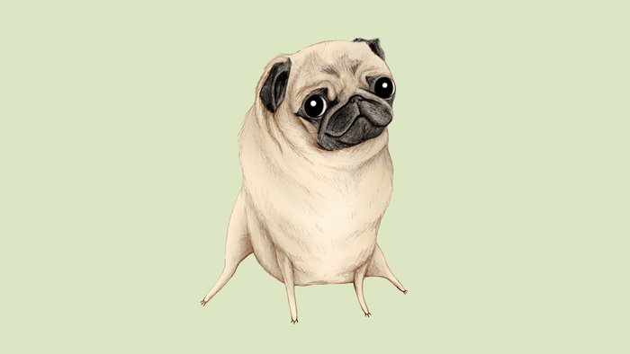 travel pug sweet fawn pug travel mug by corrigan society6 travel pug sweet fawn pug travel mug by corrigan society6